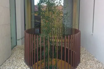 Parapetti